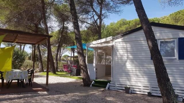 Location De Mobile-Home Dans Camping 5 Etoiles Puget-sur-Argens Exterior photo